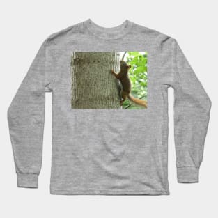 Red Squirrel Long Sleeve T-Shirt